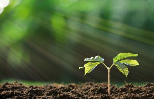 ¿Sociedad o suciedad?. Un artículo de Leonor Cascales