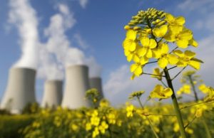 Alejandro Diaz | Luces y Sombras