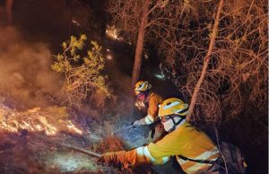 Incendio forestal en el Valle Perdido