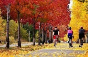 El veranillo de San Martín nos deja el otoño más cálido de la serie histórica