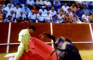 Vuelven los toros a Alcantarilla 15 años después