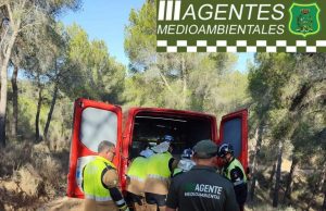 Un hombre de 50 años herido de gravedad en un sendero del Parque Regional de El Valle