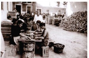 Nueva donación de etiquetas y fotografías antiguas para el Archivo Municipal