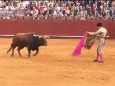 Morante de la Puebla muy grave por una cornada en Sevilla