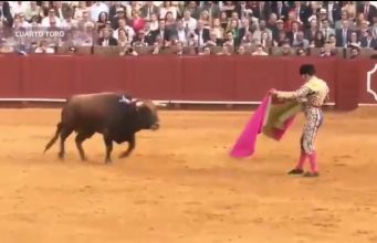 Morante de la Puebla muy grave por una cornada en Sevilla