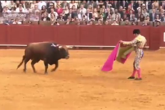 Morante de la Puebla muy grave por una cornada en Sevilla